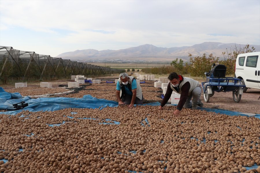 Kovid-19 Nedeniyle Mahkumları İzne Çıkan Cezaevinde Üretimi Personel Sürdürüyor