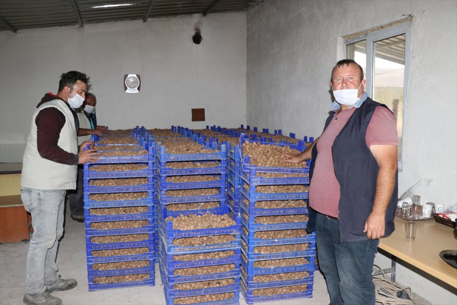 Kovid-19 Nedeniyle Mahkumları İzne Çıkan Cezaevinde Üretimi Personel Sürdürüyor