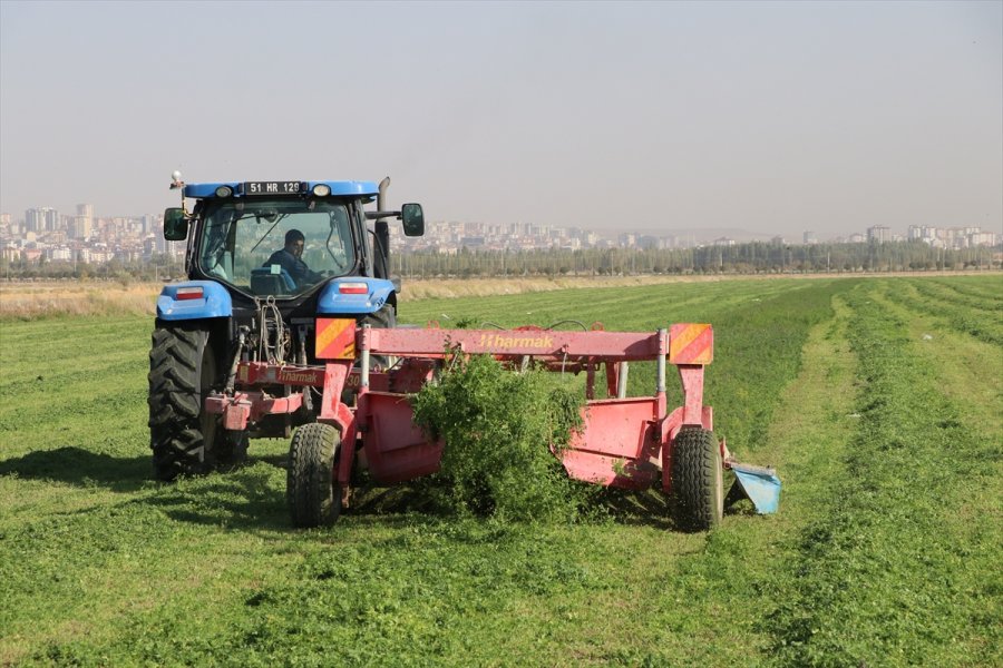 Kovid-19 Nedeniyle Mahkumları İzne Çıkan Cezaevinde Üretimi Personel Sürdürüyor