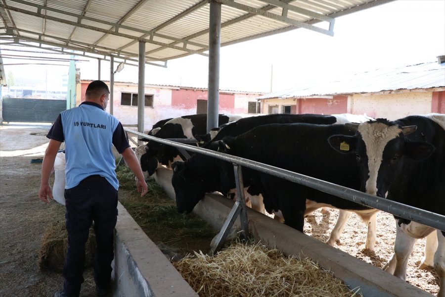 Kovid-19 Nedeniyle Mahkumları İzne Çıkan Cezaevinde Üretimi Personel Sürdürüyor