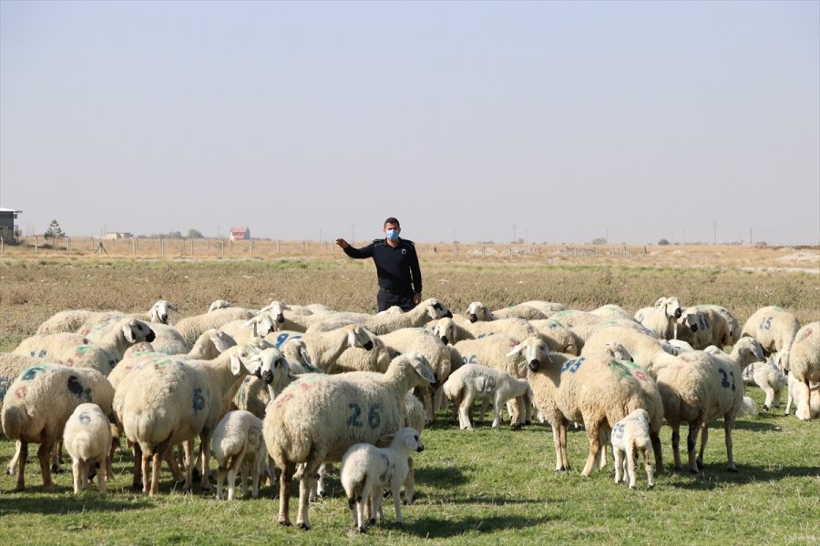 Kovid-19 Nedeniyle Mahkumları İzne Çıkan Cezaevinde Üretimi Personel Sürdürüyor