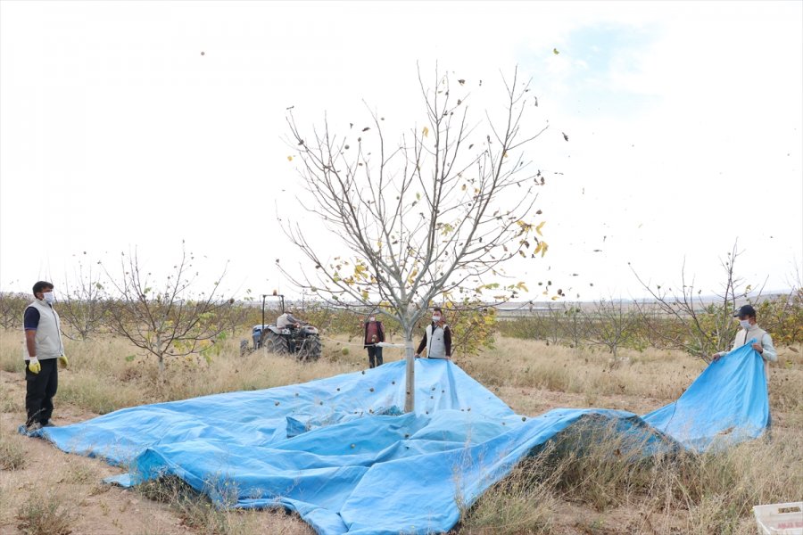 Kovid-19 Nedeniyle Mahkumları İzne Çıkan Cezaevinde Üretimi Personel Sürdürüyor