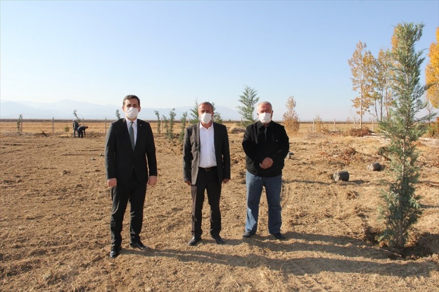 Yalıhüyük'te Belediye Hizmet Binası Yanındaki Araziye Lavanta Ekilecek