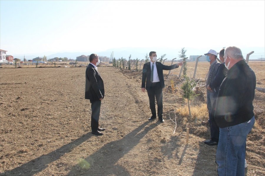 Yalıhüyük'te Belediye Hizmet Binası Yanındaki Araziye Lavanta Ekilecek