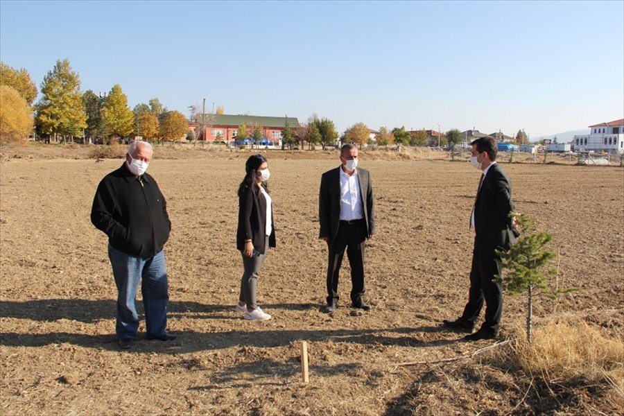 Yalıhüyük'te Belediye Hizmet Binası Yanındaki Araziye Lavanta Ekilecek