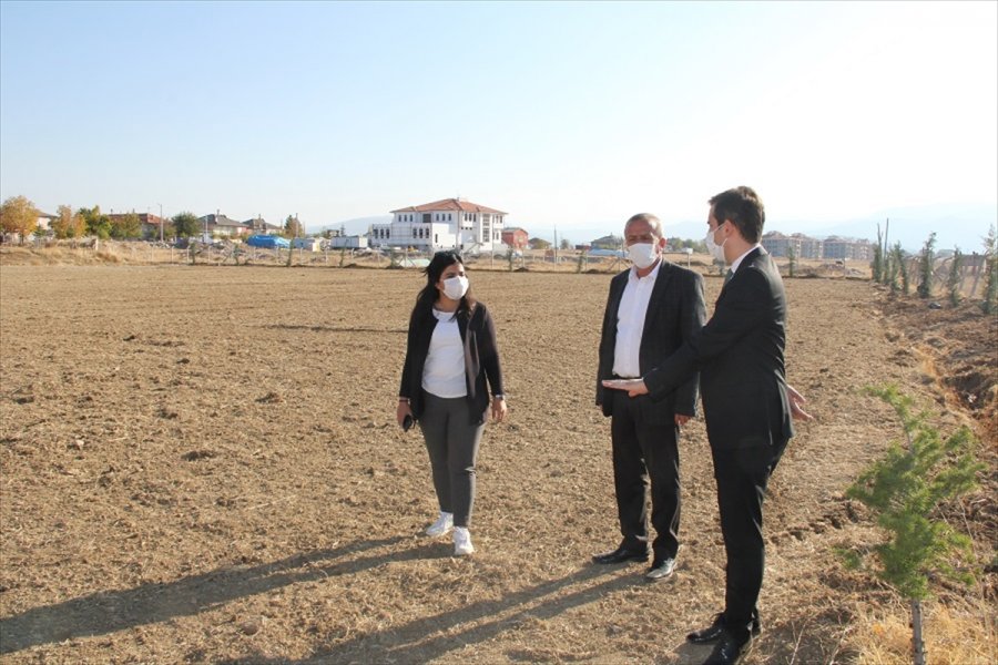 Yalıhüyük'te Belediye Hizmet Binası Yanındaki Araziye Lavanta Ekilecek