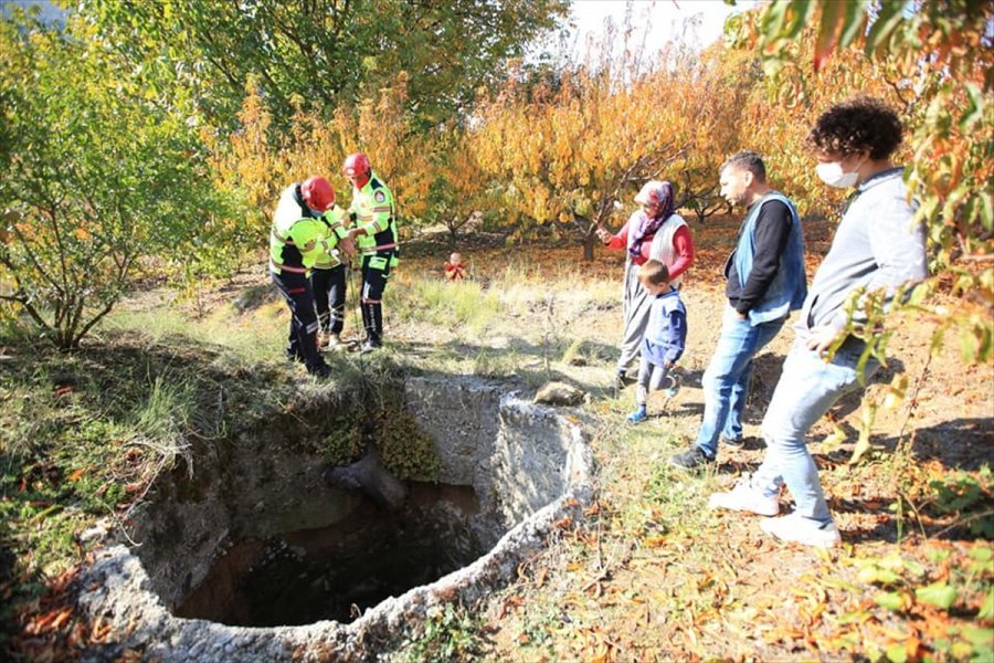 Mersin'de Su Kuyusuna Düşen Domuz Telef Oldu