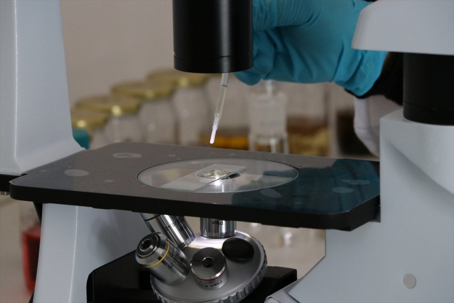 Aromatik Bitki Yağlarının Etken Maddesinden Takviye Edici Gıda Üretildi