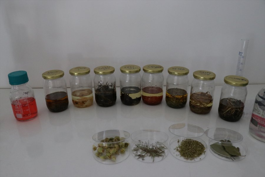 Aromatik Bitki Yağlarının Etken Maddesinden Takviye Edici Gıda Üretildi