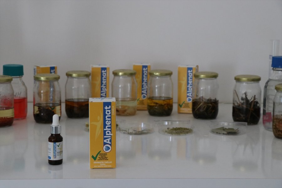 Aromatik Bitki Yağlarının Etken Maddesinden Takviye Edici Gıda Üretildi