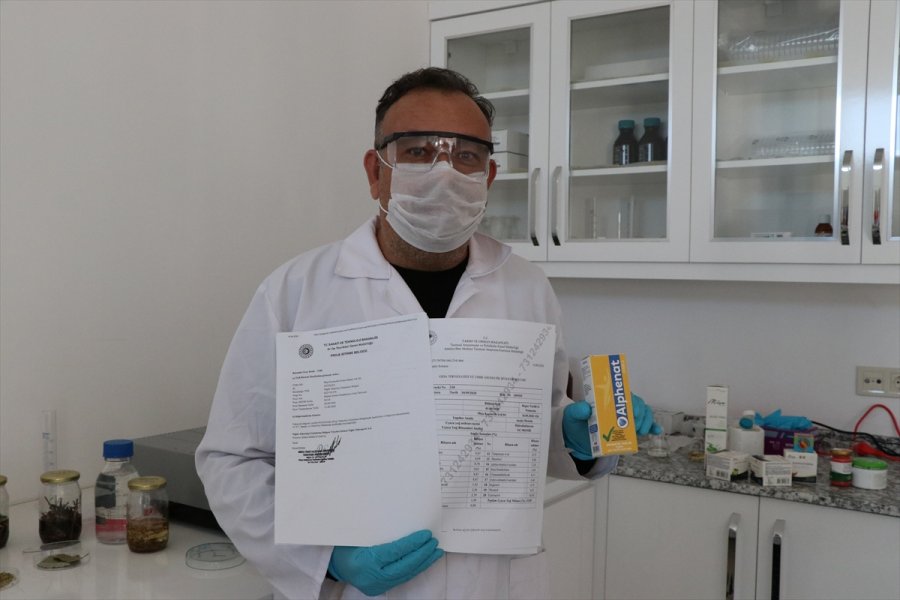 Aromatik Bitki Yağlarının Etken Maddesinden Takviye Edici Gıda Üretildi