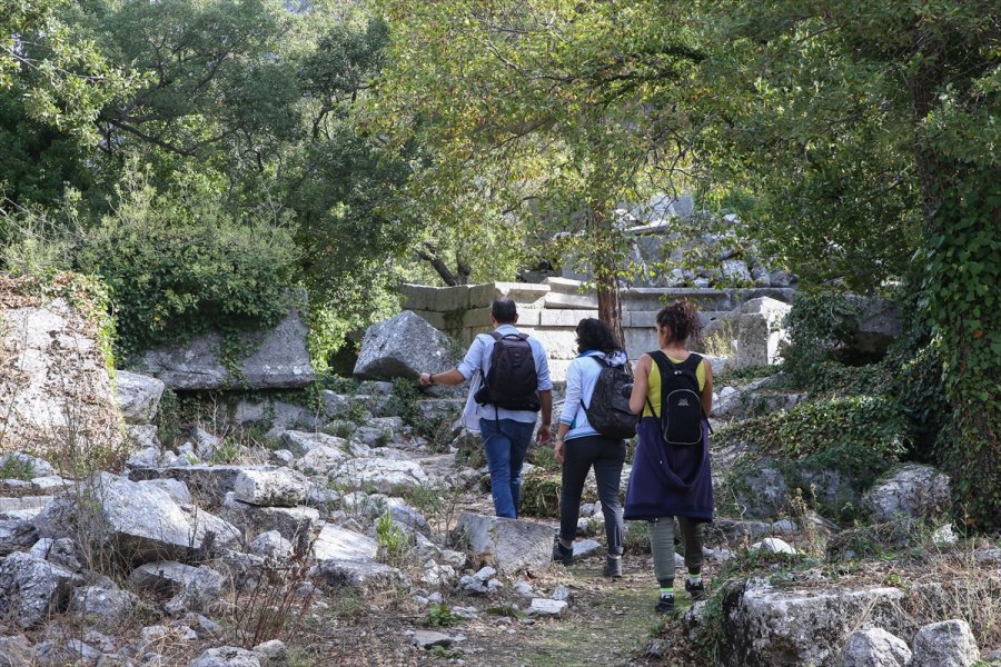 Koruma Altındaki Termessos Çiğdeminin Lokasyonu Gps Cihazlarıyla Belirleniyor