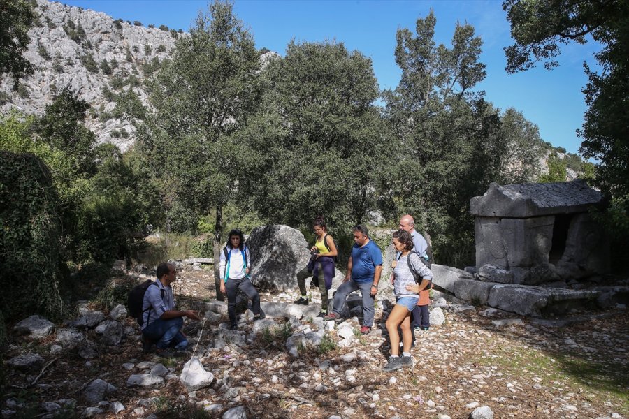 Koruma Altındaki Termessos Çiğdeminin Lokasyonu Gps Cihazlarıyla Belirleniyor