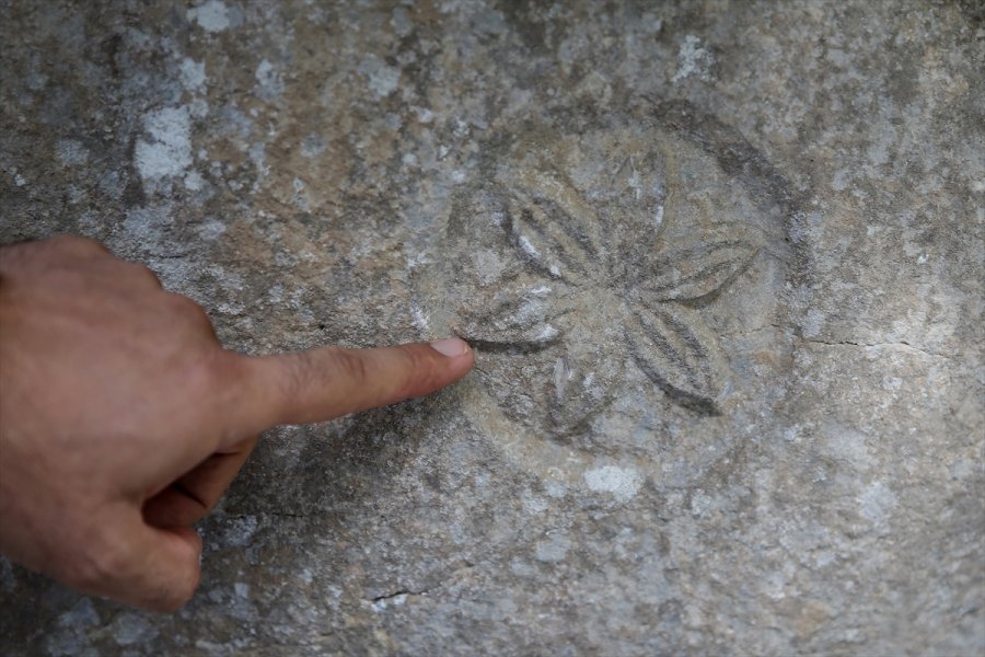 Koruma Altındaki Termessos Çiğdeminin Lokasyonu Gps Cihazlarıyla Belirleniyor