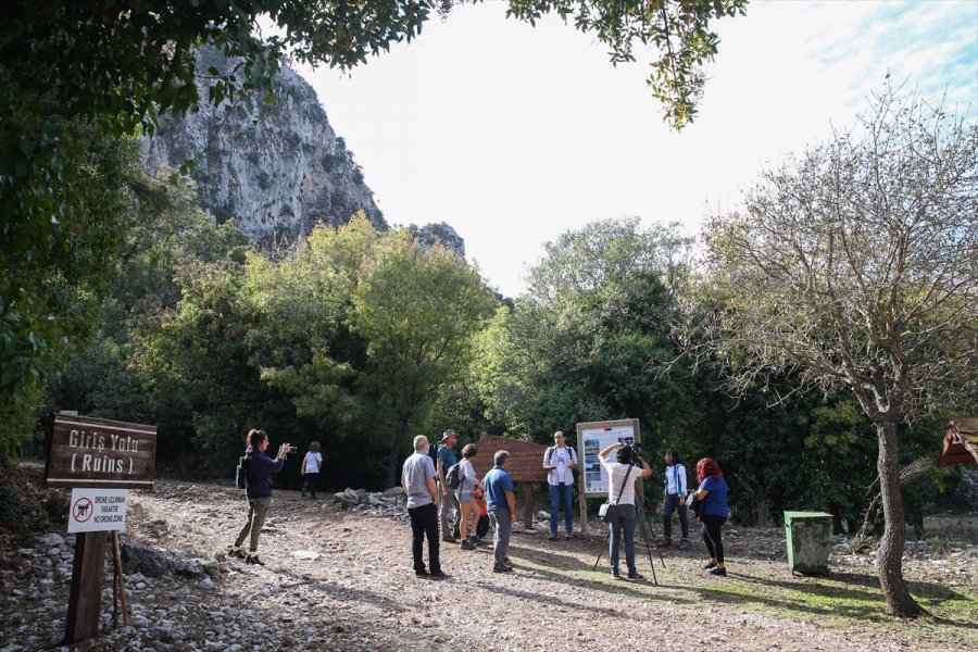 Koruma Altındaki Termessos Çiğdeminin Lokasyonu Gps Cihazlarıyla Belirleniyor