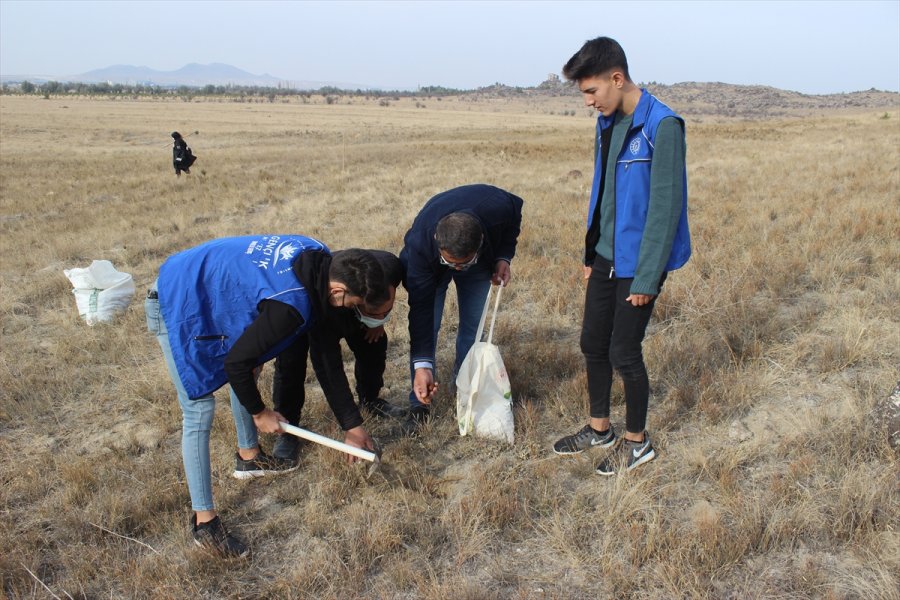 Karapınar'da Binlerce Meşe Palamudu Toprakla Buluşturuldu