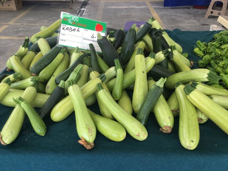 Kayseri'de Çiftçiler Ekolojik Tarımla 722 Bin Lira Gelir Elde Etti