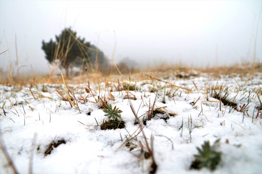Konya’da Kar Yağışı Ve Sis Sonbahar Renkleriyle Güzel Görüntüler Oluşturdu