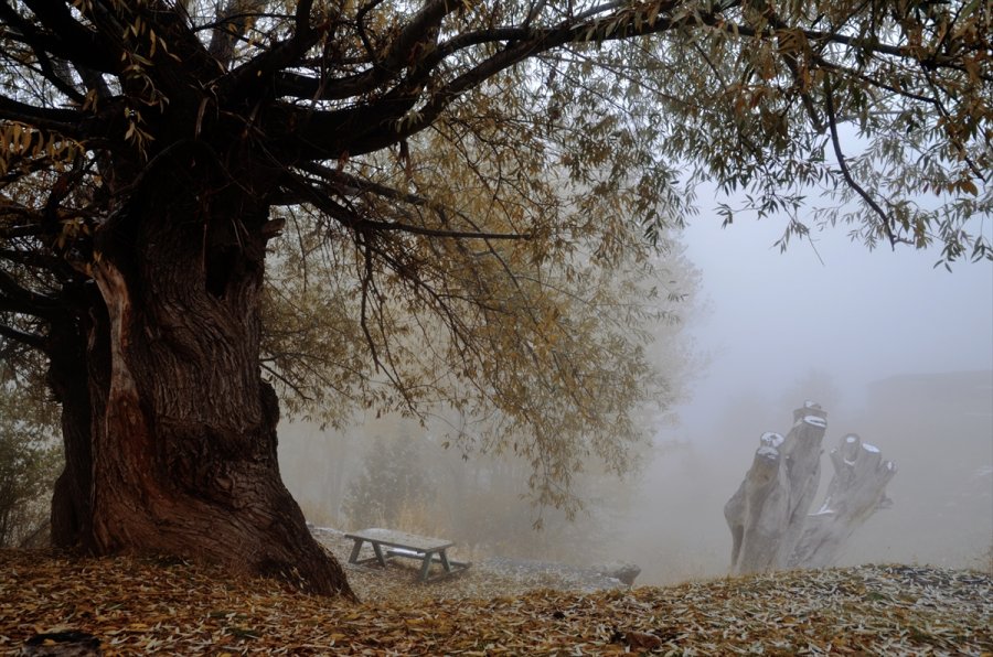 Konya’da Kar Yağışı Ve Sis Sonbahar Renkleriyle Güzel Görüntüler Oluşturdu