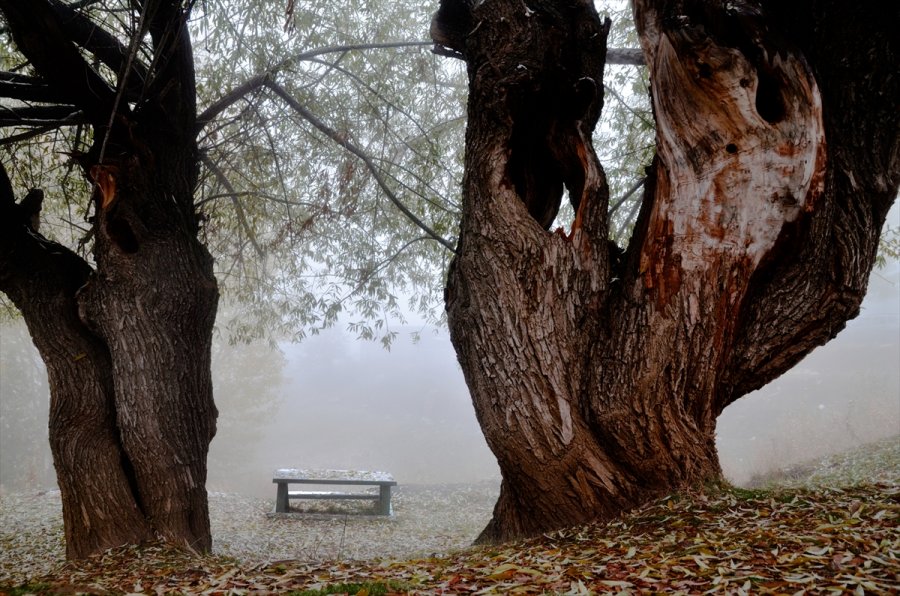 Konya’da Kar Yağışı Ve Sis Sonbahar Renkleriyle Güzel Görüntüler Oluşturdu