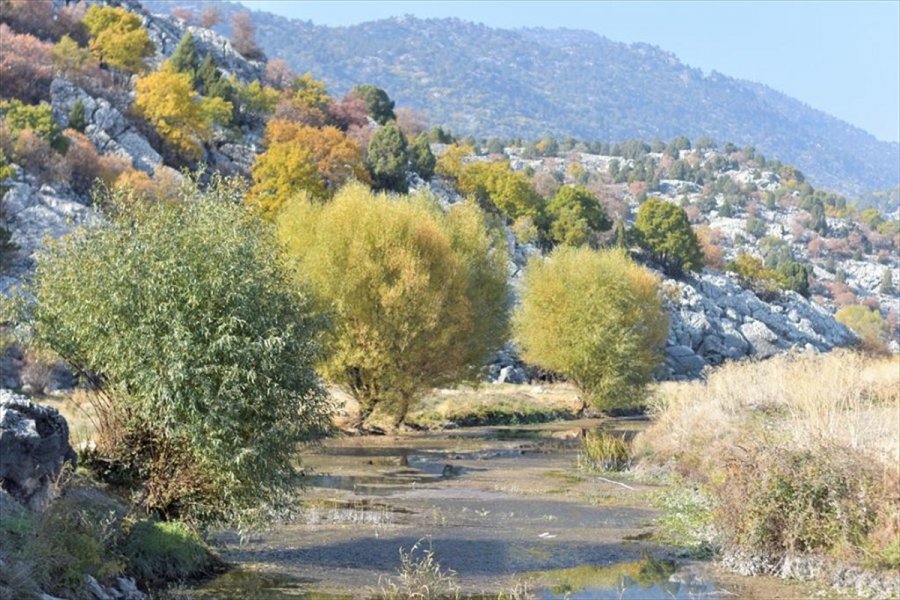 Yalıhüyük'te İçme Suyu Ve Tarım Arazisi Sulama Projeleri Görüşüldü