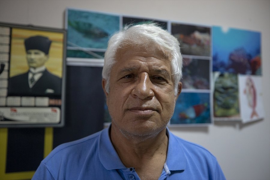 Avusturyalı Turistlere Antalya Falezlerinde Akdeniz Foku Sürprizi