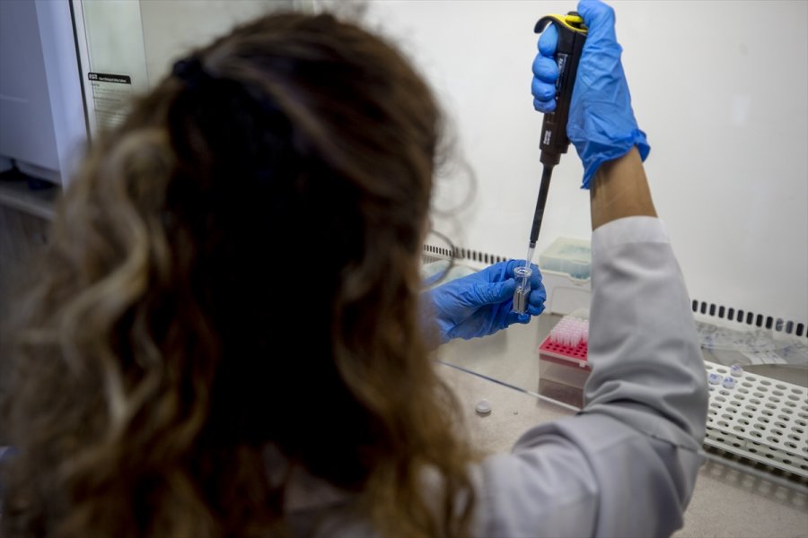 Kovid-19 Hastalarında Azalan Enzim, Yeşil Bitki Yapraklarında Üretildi