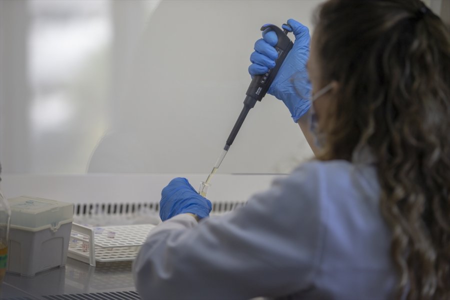 Kovid-19 Hastalarında Azalan Enzim, Yeşil Bitki Yapraklarında Üretildi