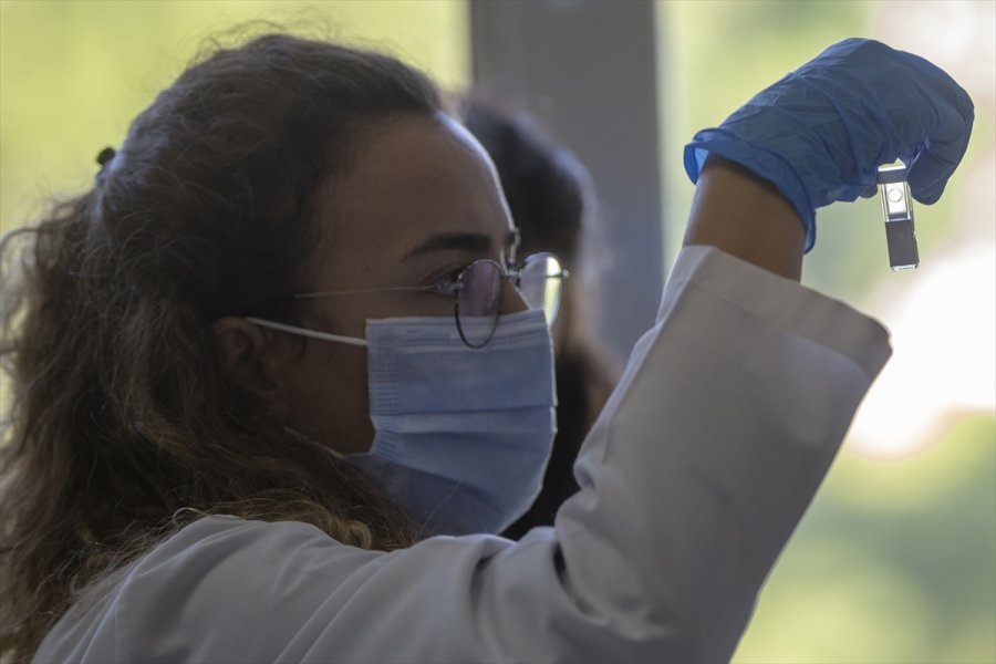 Kovid-19 Hastalarında Azalan Enzim, Yeşil Bitki Yapraklarında Üretildi