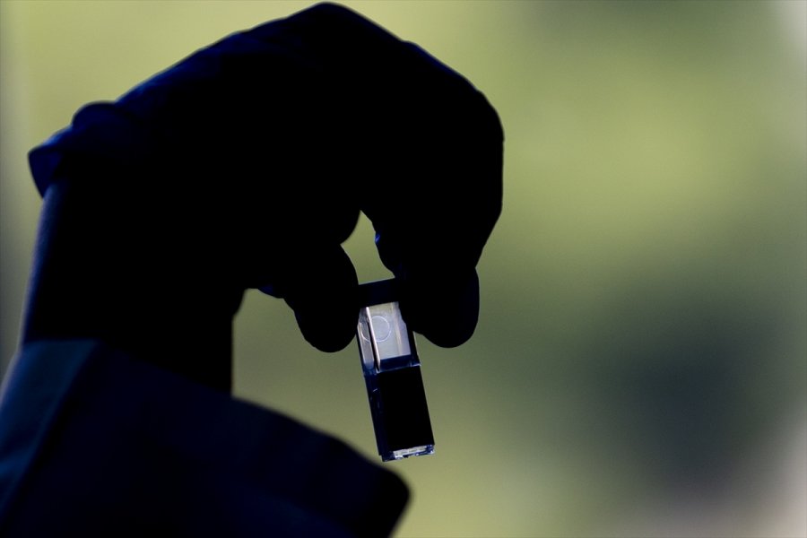 Kovid-19 Hastalarında Azalan Enzim, Yeşil Bitki Yapraklarında Üretildi