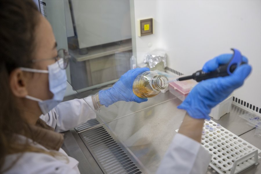 Kovid-19 Hastalarında Azalan Enzim, Yeşil Bitki Yapraklarında Üretildi