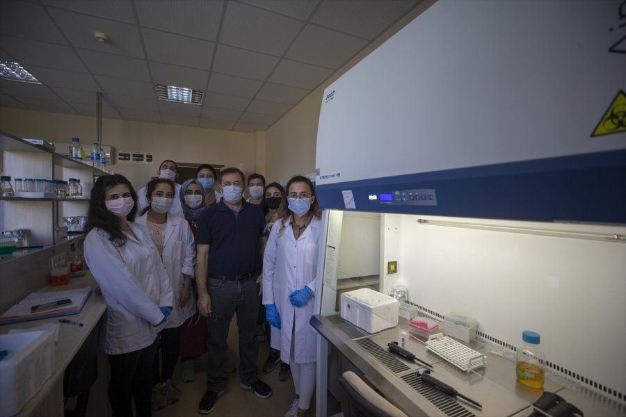 Kovid-19 Hastalarında Azalan Enzim, Yeşil Bitki Yapraklarında Üretildi