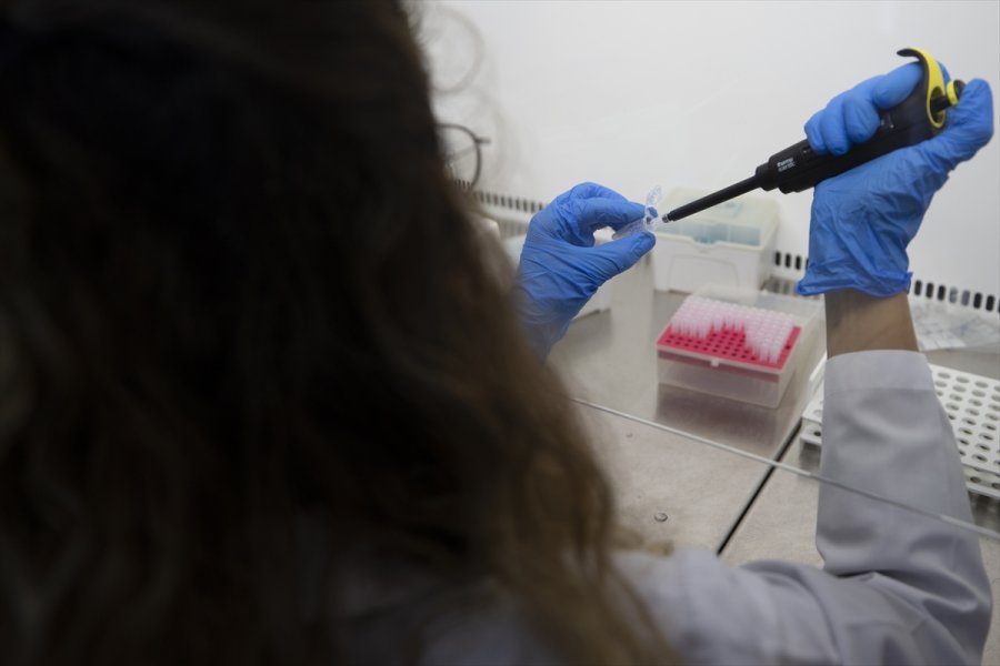 Kovid-19 Hastalarında Azalan Enzim, Yeşil Bitki Yapraklarında Üretildi