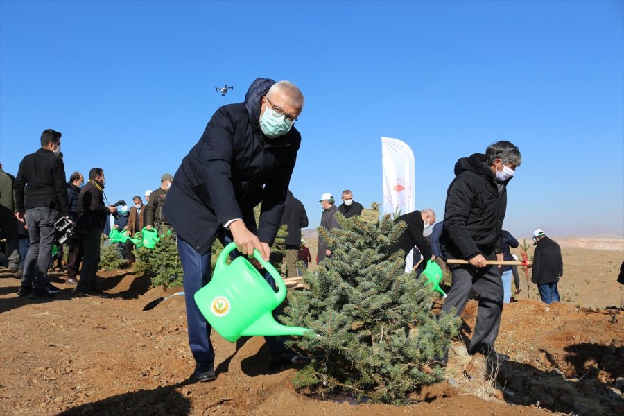 Konya'da Öğretmenler İçin Oluşturulan Hatıra Ormanına İlk Fidanlar Dikildi