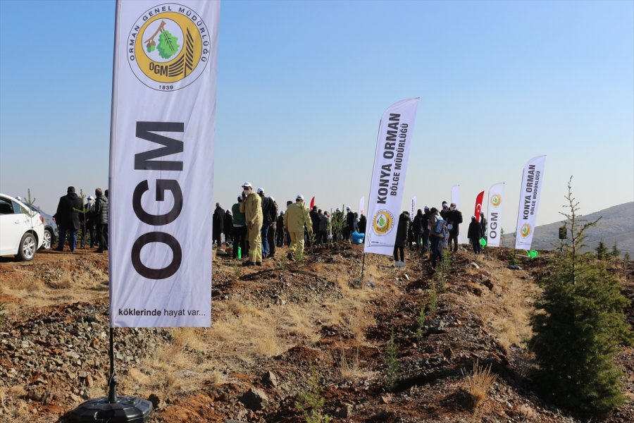 Konya'da Öğretmenler İçin Oluşturulan Hatıra Ormanına İlk Fidanlar Dikildi