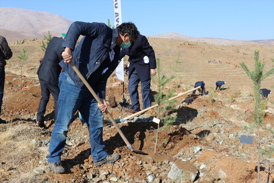 Konya'da Öğretmenler İçin Oluşturulan Hatıra Ormanına İlk Fidanlar Dikildi