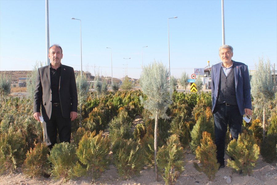 Tomarza Belediyesinin Çevre Düzenleme Çalışması