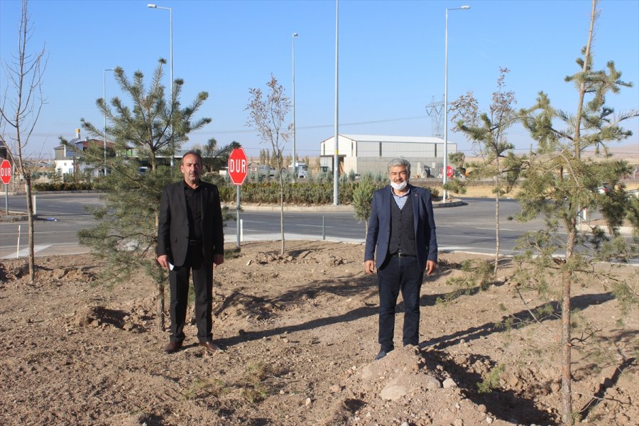 Tomarza Belediyesinin Çevre Düzenleme Çalışması