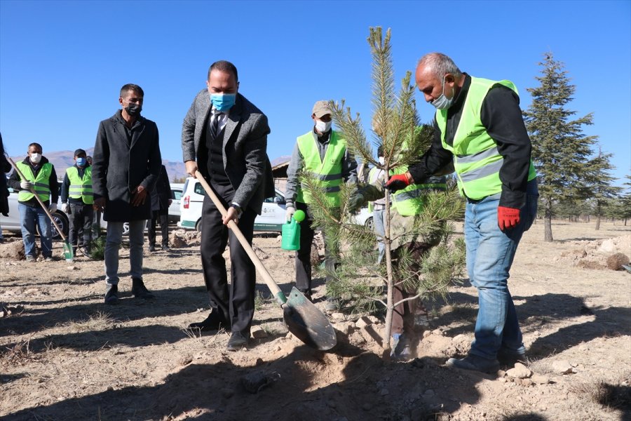 Niğde'de Görev Yapan 3 Bin 422 Öğretmen İçin Fidan Dikildi