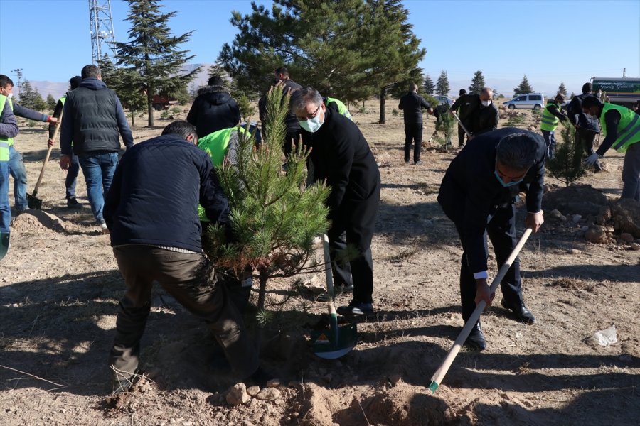 Niğde'de Görev Yapan 3 Bin 422 Öğretmen İçin Fidan Dikildi