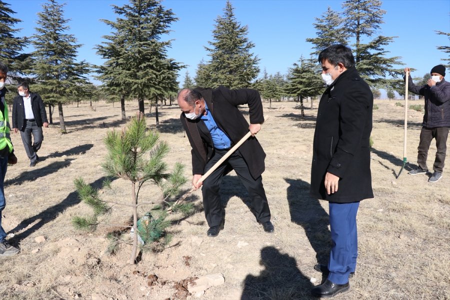 Niğde'de Görev Yapan 3 Bin 422 Öğretmen İçin Fidan Dikildi