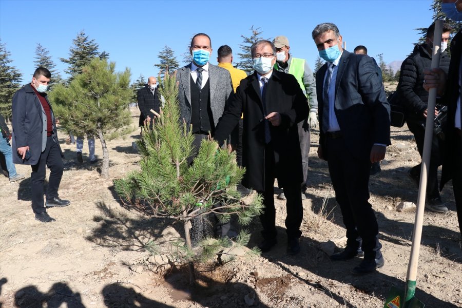 Niğde'de Görev Yapan 3 Bin 422 Öğretmen İçin Fidan Dikildi