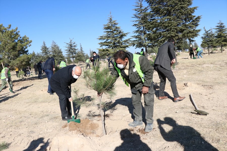 Niğde'de Görev Yapan 3 Bin 422 Öğretmen İçin Fidan Dikildi