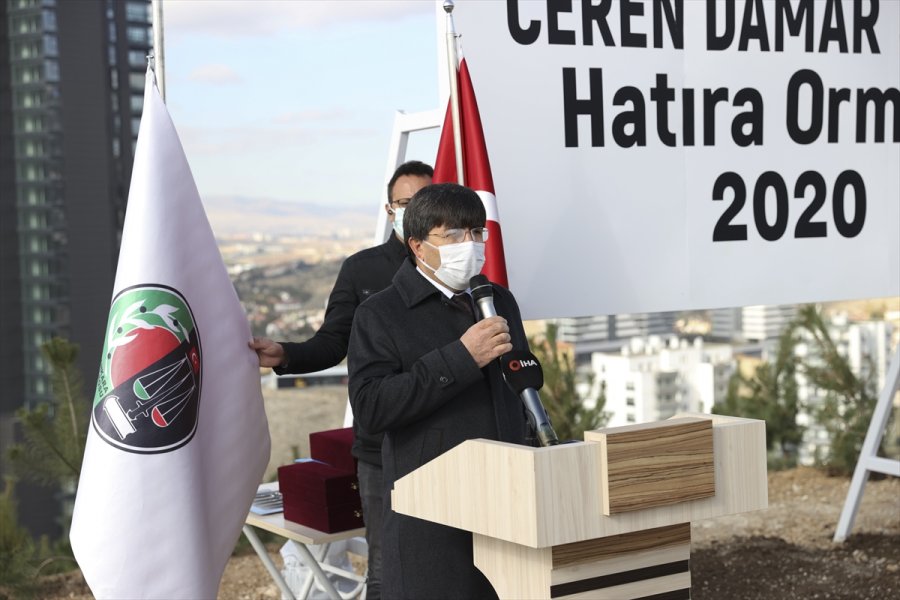 Akademisyen Ceren Damar Şenel'in Adı Hatıra Ormanında Yaşayacak