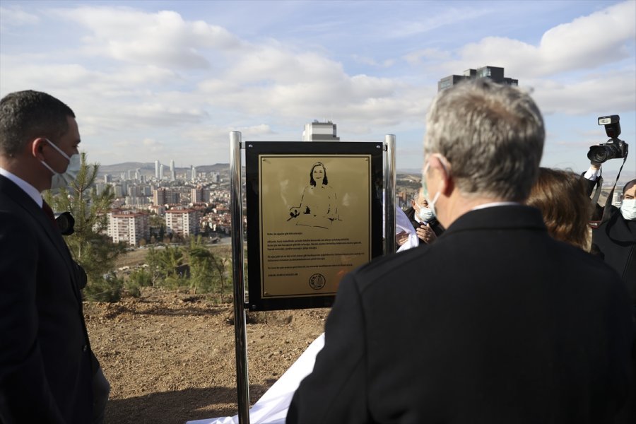 Akademisyen Ceren Damar Şenel'in Adı Hatıra Ormanında Yaşayacak