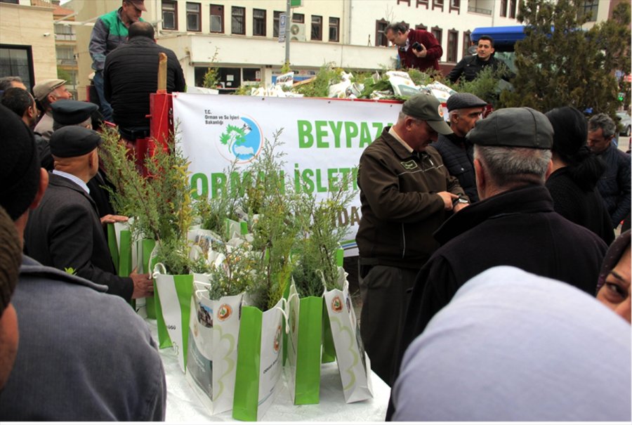 Beypazarı'nda 10 Bin Fidan Dağıtıldı