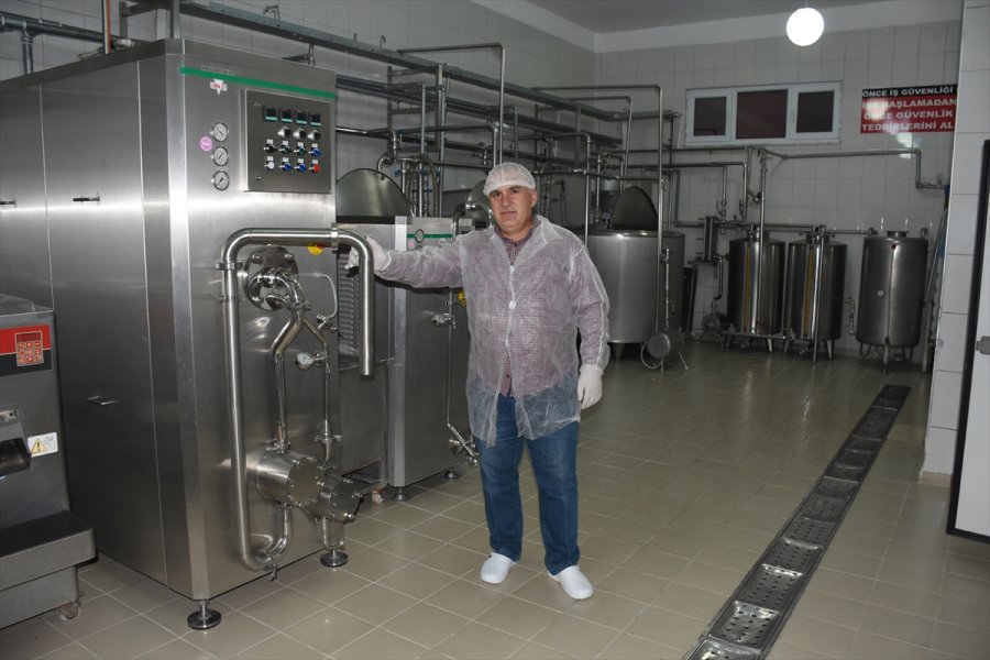 Semerciliği Bırakan Girişimci Dondurma Üretimiyle Marka Oldu