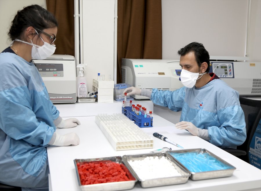 Yerli Ve Milli Kovid-19 Aday Aşısının İkinci Dozunun Uygulanması