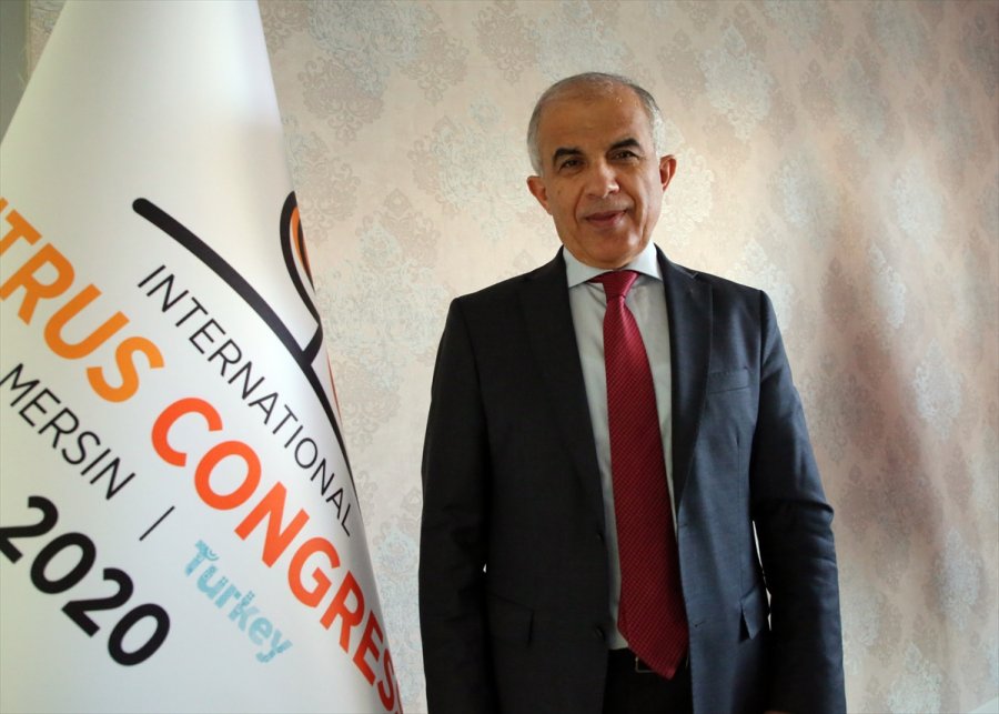 Narenciyede Sıcaklık Zararının Tarsim Kapsamına Alınması Sektör Temsilcilerini Sevindirdi