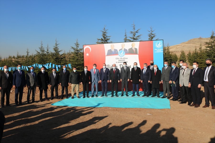 Ülkü Ocaklarından Fidan Dikim Seferberliği